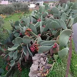 Lägenhet Chez Kiki Et Ioannis
