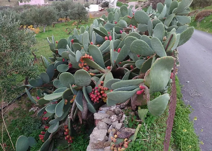 Lägenhet Chez Kiki Et Ioannis